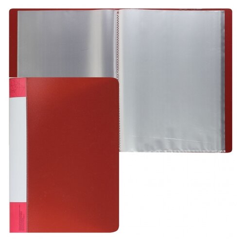 Klerk папка А4, пластик, 60 файлов, зеленый