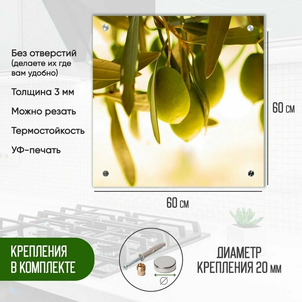 Защитный экран для кухни 600 х 600 х 3 мм "Оливки", акриловое стекло на кухню для защиты фартука, прозрачный монолитный поликарбонат, 600-024 - фотография № 2