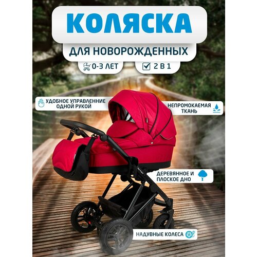 Noordline Beatrice Sport 2023 коляска 2 в 1 Детская коляска трансформер для новорожденных 2в1, прогулочная для ребенка