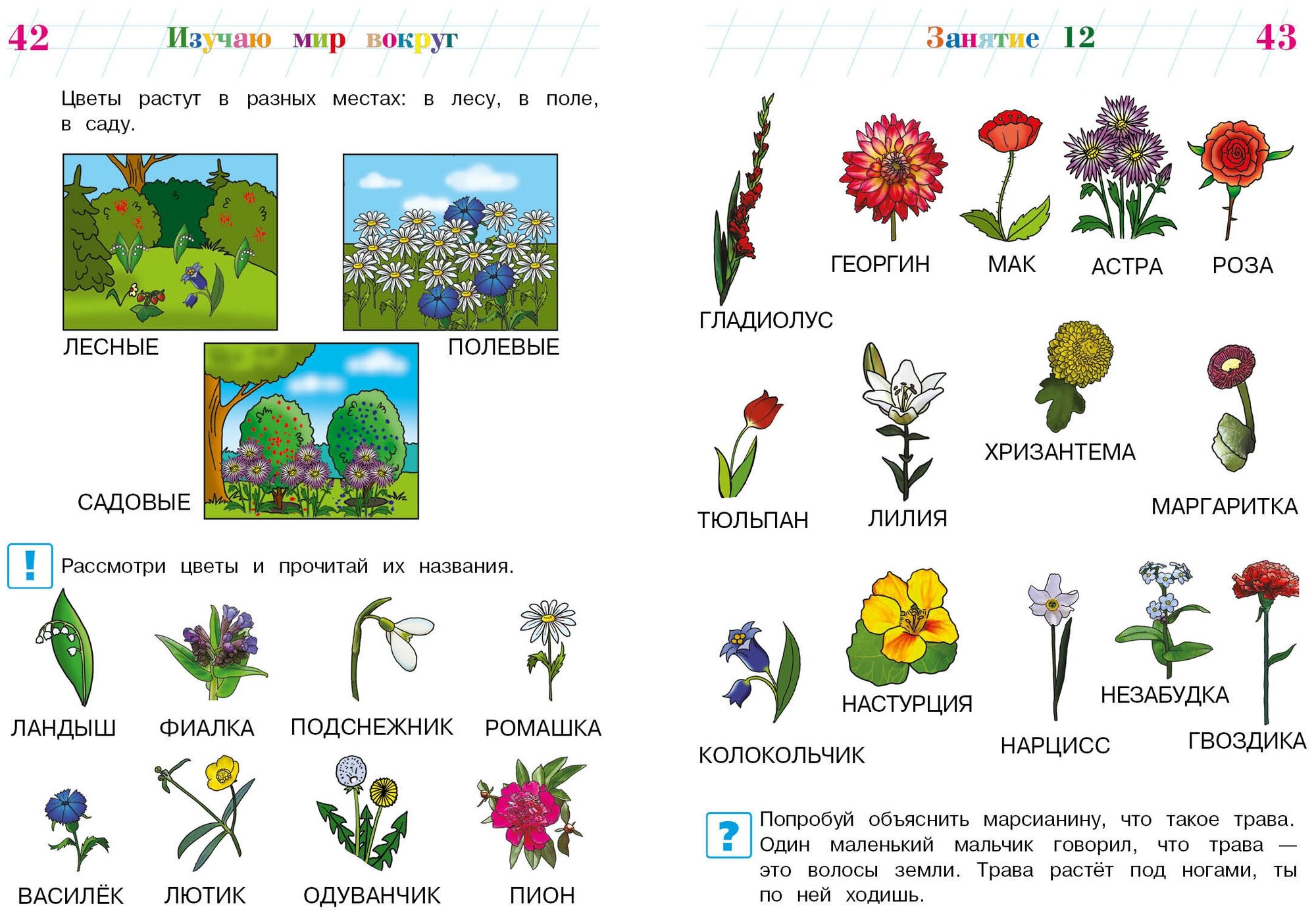 Изучаю мир вокруг: для детей 5-6 лет (новое оформление) - фото №4