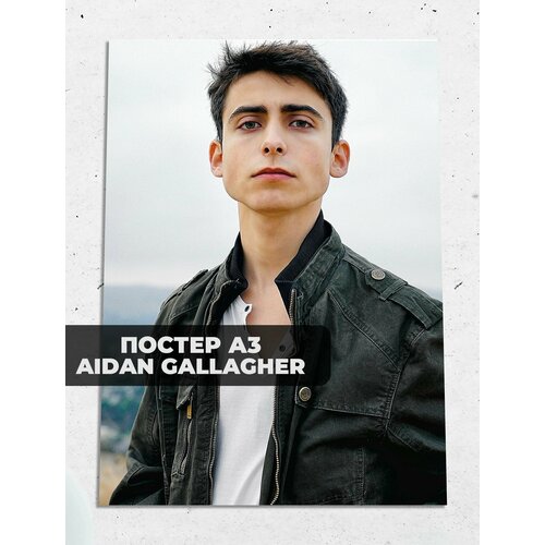 Постер A3 Эйдан Галлахер