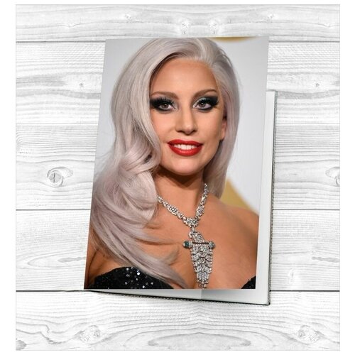 Кредитница мультиколор футболка design heroes леди гага lady gaga мужская серая m