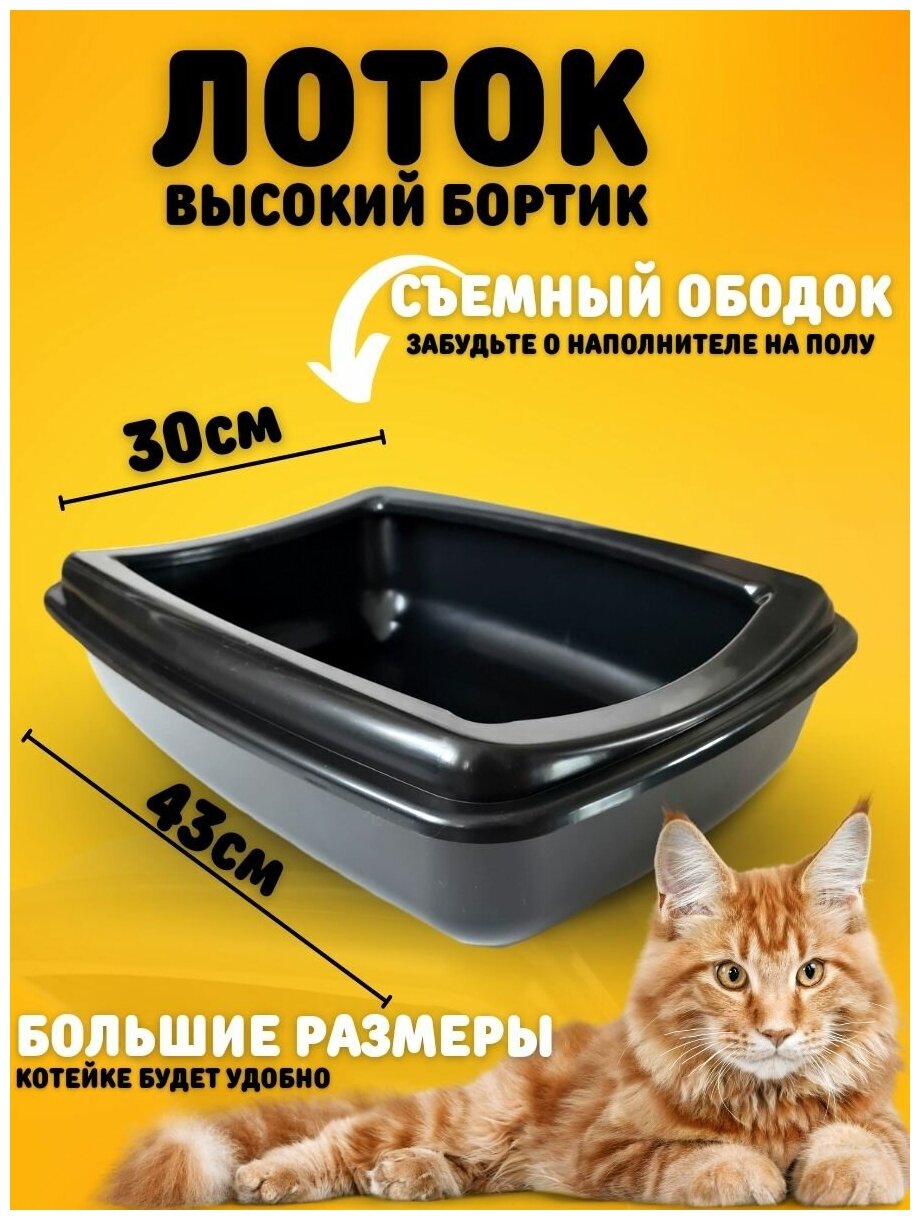 Лоток для кошек 43*30*12см/ черный / Туалет для кошек и собак / Туалет кошачий / - фотография № 2