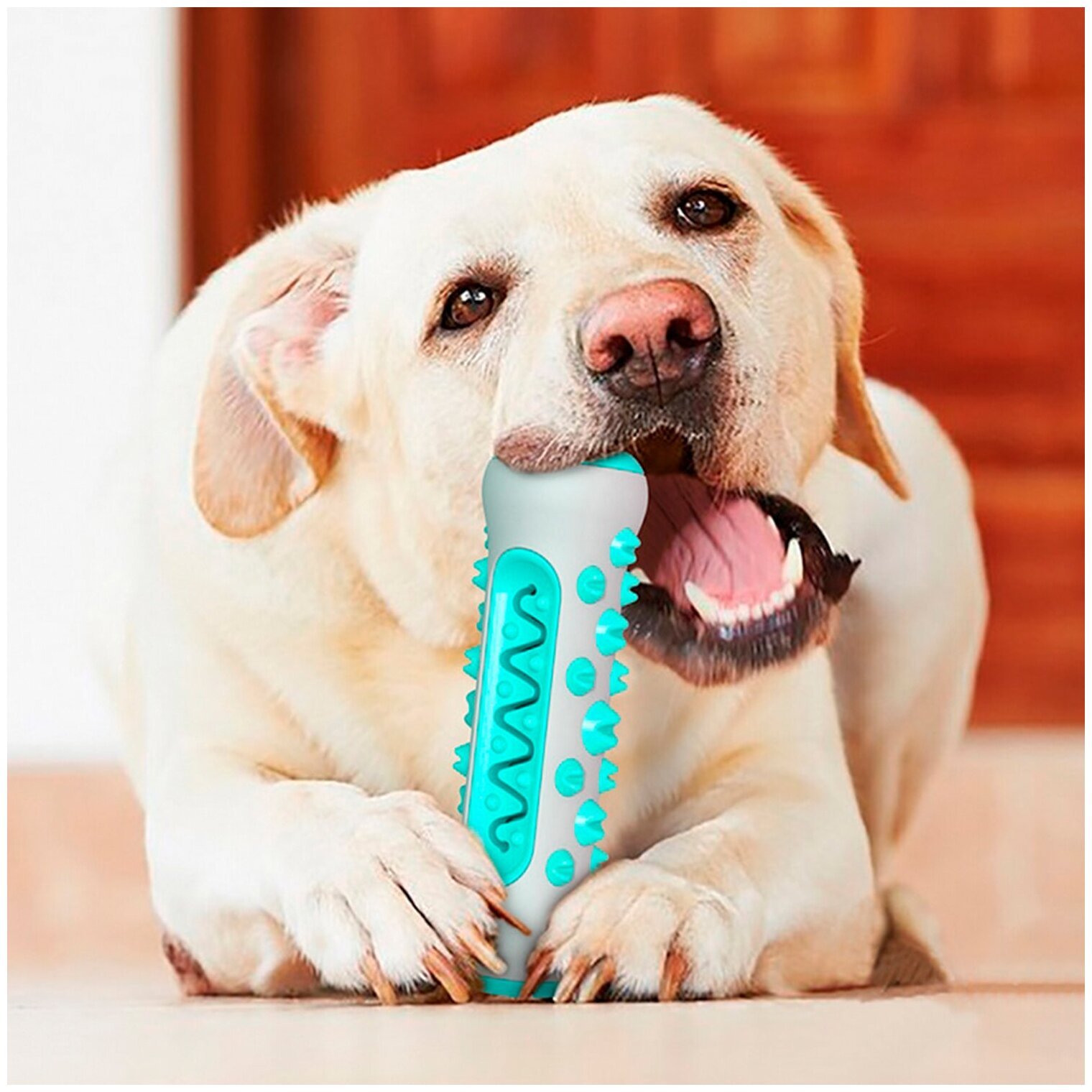 Игрушка для чистки зубов для собак 2 в 1, цвет голубой, 15х5 см - фотография № 4