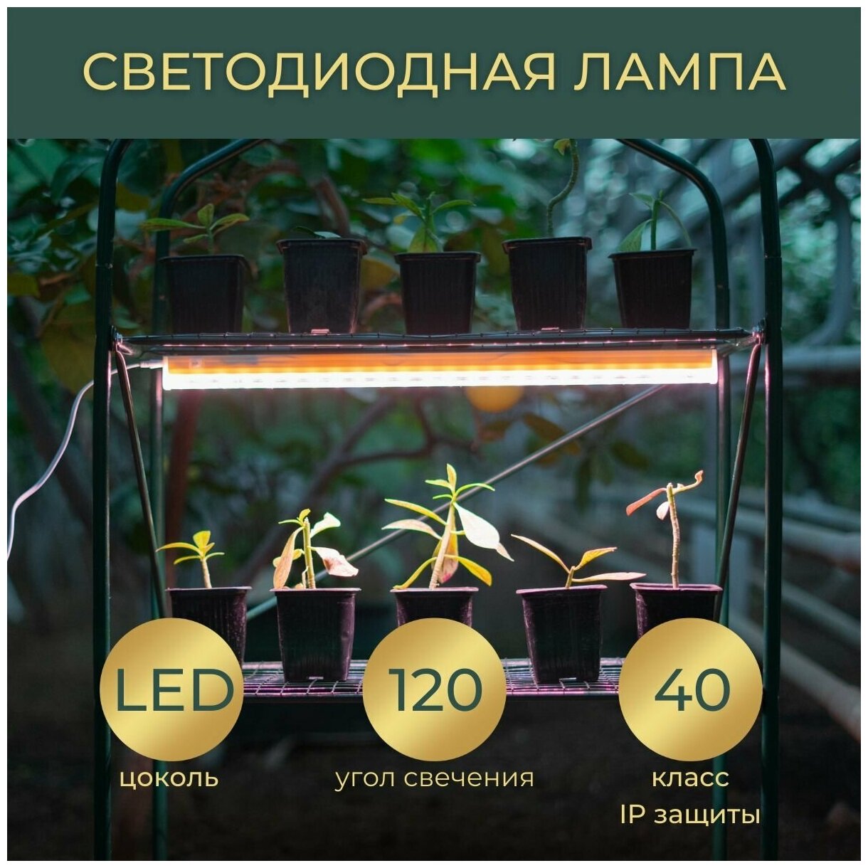 Фитолампа для растений полный спектр/ светодиодная лампа для цветов и рассады - фотография № 3