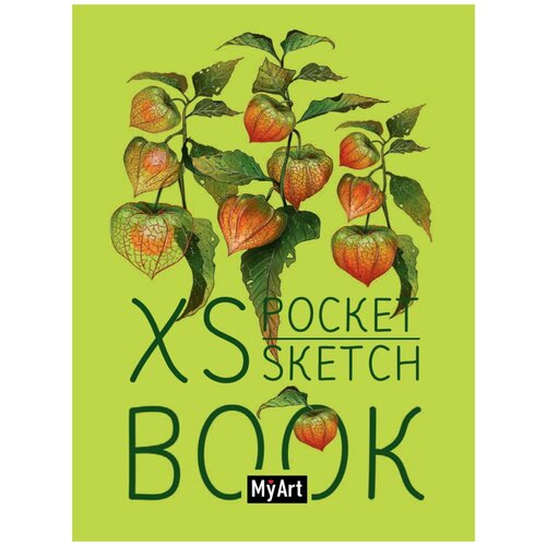 Скетчбук Проф-Пресс My Art XS Pocket Физалис, 13.8 х 9.5 см, 48 л. зеленый A6 14.8 см 10.5 см 70 г/м²