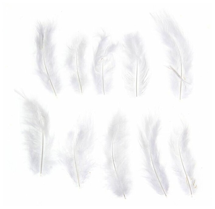 Набор перьев для декора 10 шт, размер 1 шт: 10 × 2 см, цвет белый
