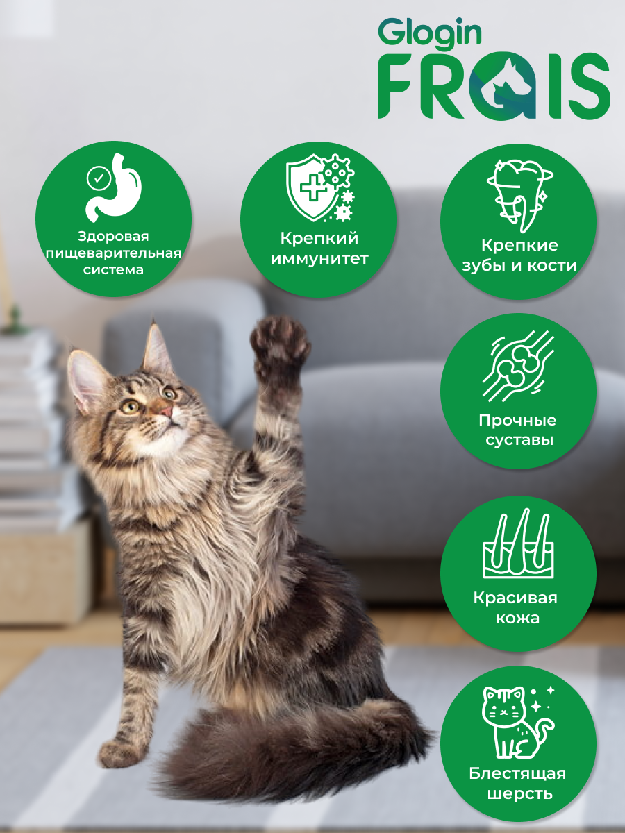 Корм сухой FRAIS STERILISED CAT PLUS+ для стерилизованных кошек Индейка/Курица 0,5 кг - фотография № 8