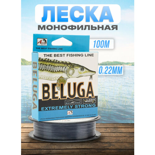 фото Леска для рыбалки монофильная beluga 0.22мм 100м, рыбалка летняя 100крючков