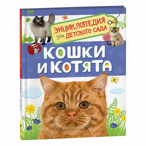 Энциклопедия для детского сада «Кошки и котята» энциклопедия для детского сада кошки и котята