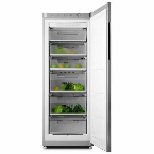Морозильная камера BENOIT-228 серебристый металлопласт 4409000₽