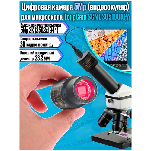 Камера цифровая для микроскопа (видеоокуляр) ToupCam SCMOS05100KPA