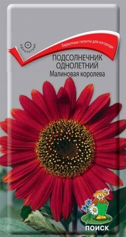 Подсолнечник Малиновая королева однол. 0,5гр. (Поиск)