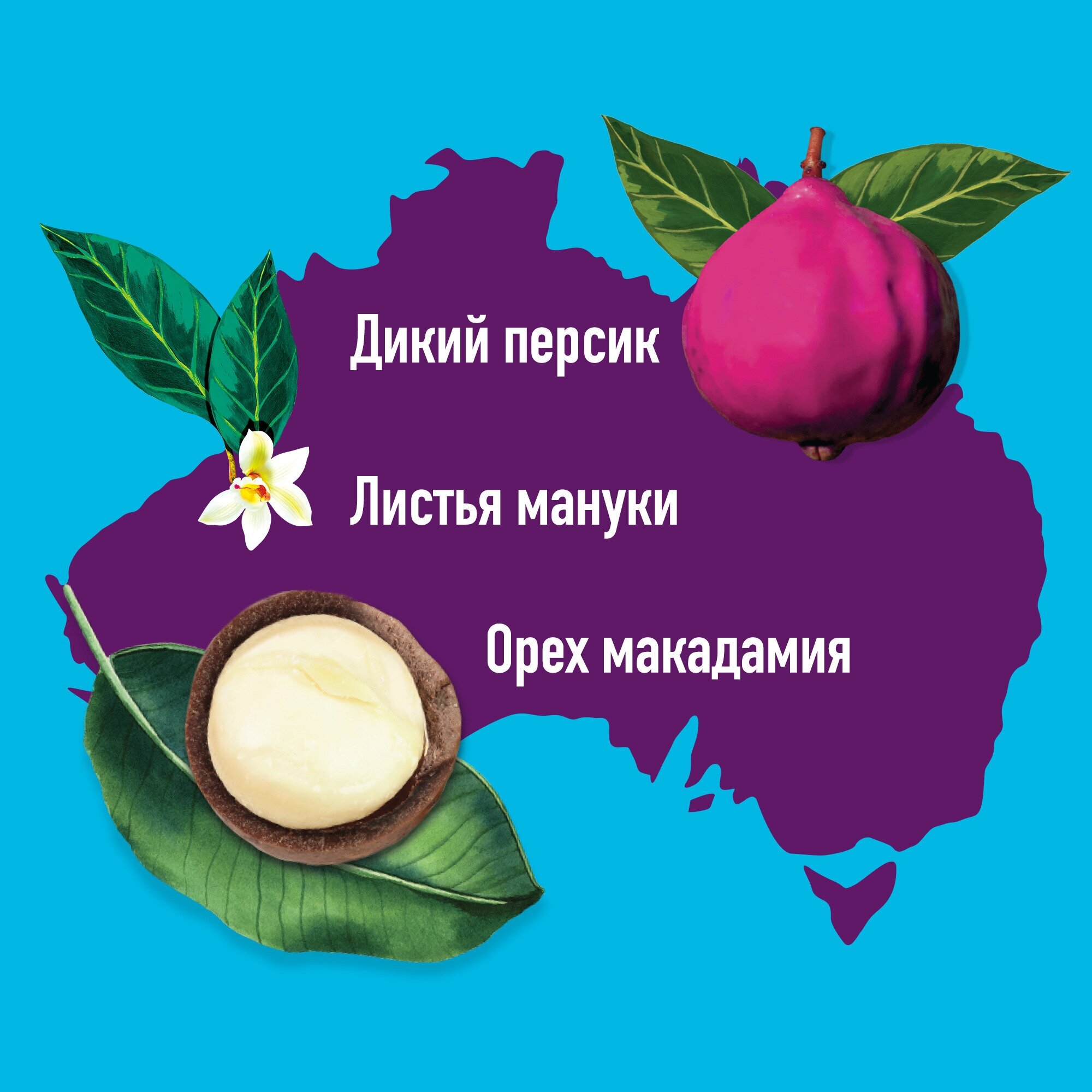 Бальзам-ополаскиватель для волос Aussie SOS с австралийскими суперфудами для поврежденных длинных волос, 200 мл - фото №12