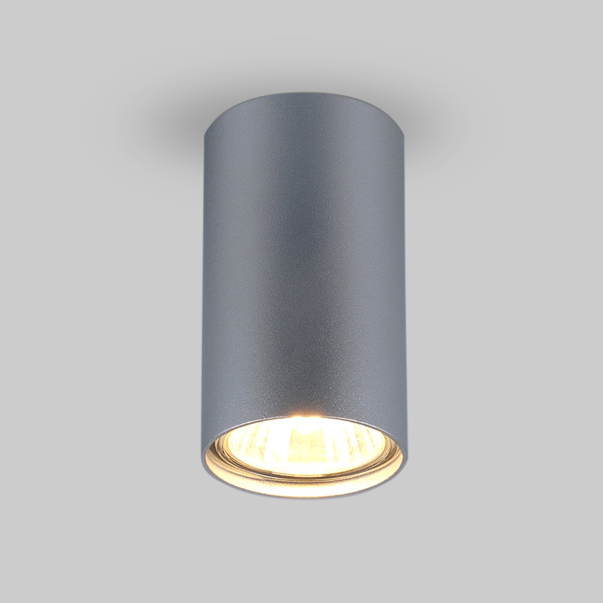 Спот / Накладной потолочный светильник Elektrostandard 1081 GU10 SL серебро (5257)