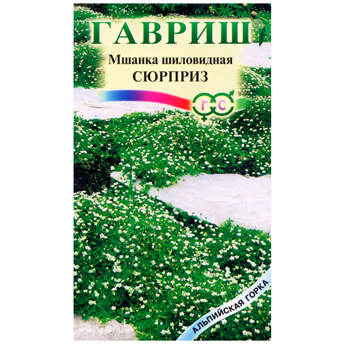 Мшанка Сюрприз (0,02 г), 2 пакета мшанка морозостойкая шиловидная комплект саженцев на 1 кв м газона