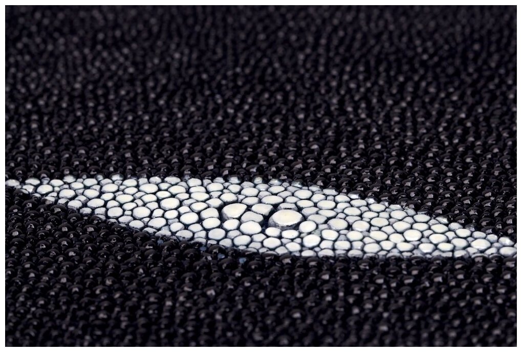 Stingray Skin Polished Navy 11 Etsy