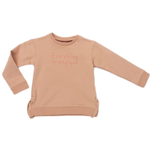 фото Толстовка artie at-372d розовый 68