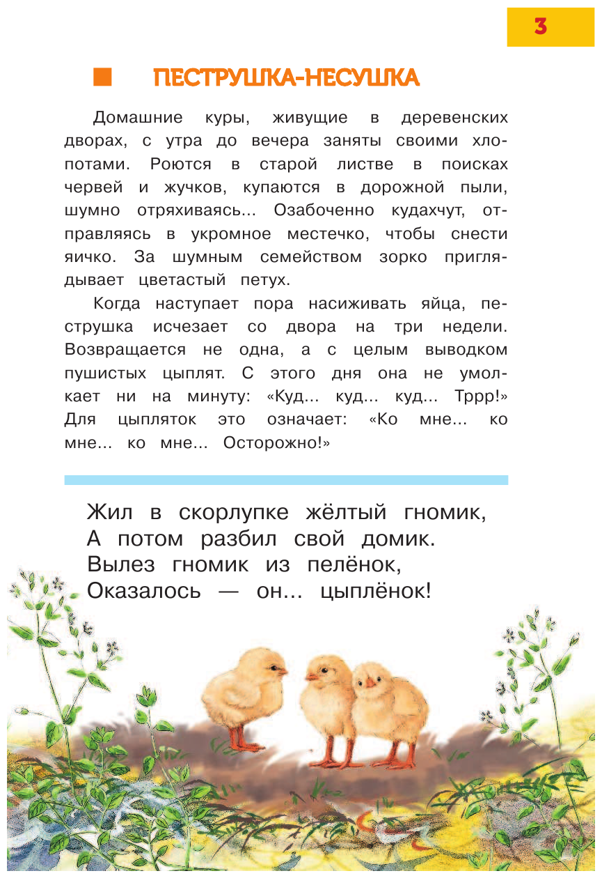 Книга ЭКСМО "Всё для детского сада. Домашние животные" 978-5-17-096579-3