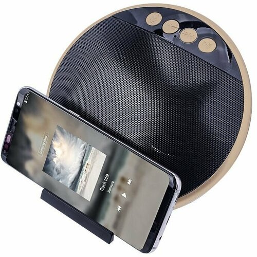 Колонка BT TG036 67800₽