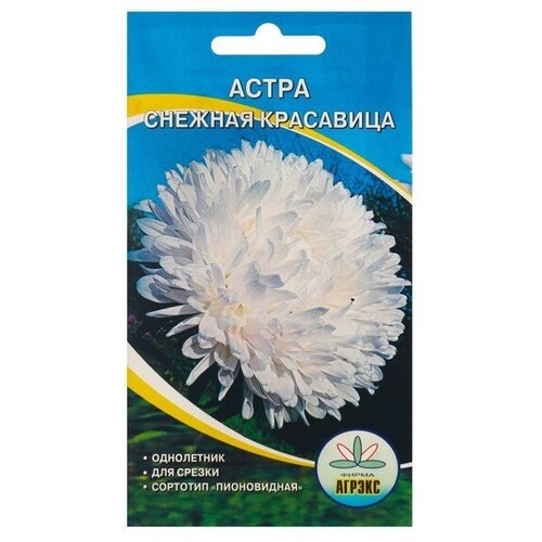 Семена Цветов Астра пион. Снежная Красавица, 0,2 г (4 шт) семена цветов астра пион снежная красавица 0 2 г