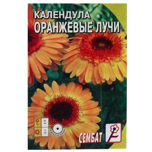 Семена цветов Календула Оранжевые Лучи, 0 3 г 10 упаковок