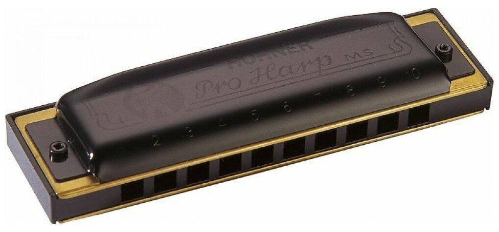 HOHNER Pro Harp 562/20 MS Eb Губная гармоника диатоническая