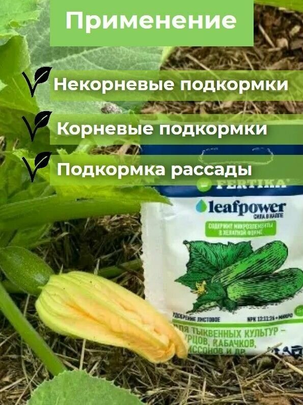 Удобрение водорастворимое Fertika (Фертика) Leaf Power (сила в капле) для огурцов, кабачков, патиссонов, арбузов, дынь и др. тыквенных культур 1 шт 50г - фотография № 4