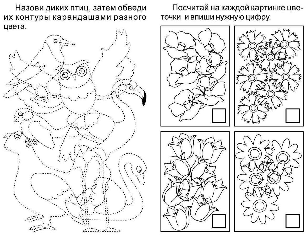 Блокнот с заданиями IQничка. Узнавайка. Найди картинку. Более 50 игровых заданий: методика Зашумленные изображения - фото №5