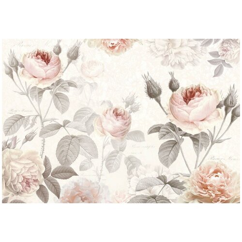 Фотообои флизелиновые KOMAR XXL4-034 Ля Мезон 368х248 см ШхВ 7980₽