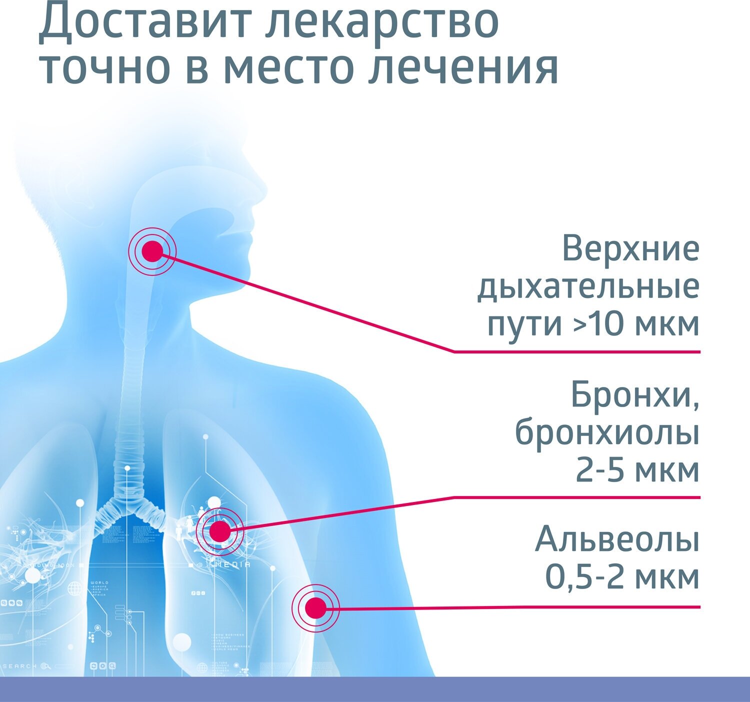 Ингалятор (небулайзер) B.Well PRO-110 для быстрого лечения