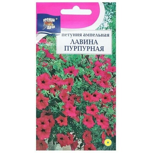 Семена цветов Петуния ампельная Лавина Пурпурная , 10 шт в амп 4 упаковки