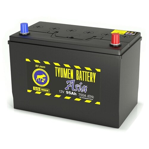 Аккумулятор автомобильный TYUMEN BATTERY Asia 6СТ-95 обр. (115D31L) 306x173x225