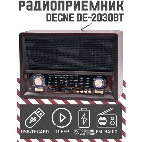 Радиоприемник DEGNE DE-2030BT black 230000₽