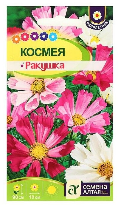 Семена цветов Космея "Ракушка", О, цп, 0,5 г