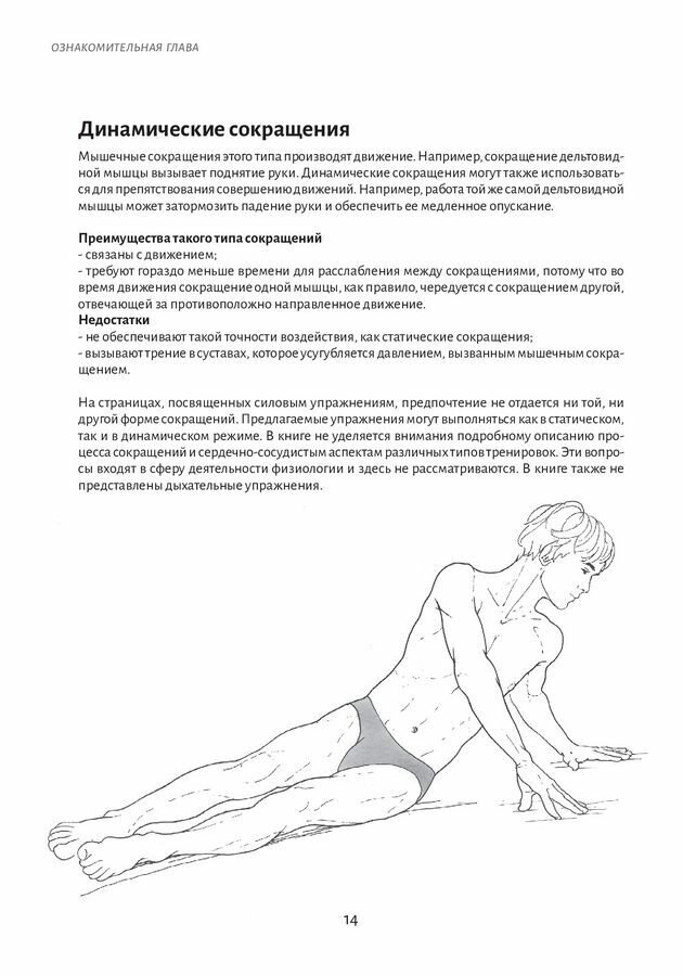 Анатомия движения. Основы упражнений - фото №14