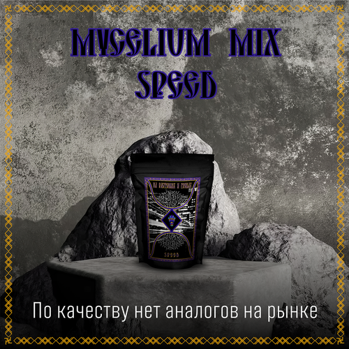 MIX SPEED зерномицелий ( Ежовик Гребенчатый, Майтаке, Траметес Разноцветный ) 100гр. Премиум Качества