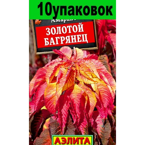 Семена Амарант Золотой багрянец 60см (Аэлита) 10уп по 0,1г