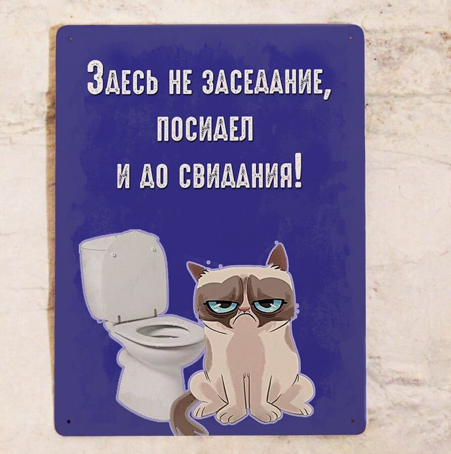 Прикольная табличка с котом в туалет Здесь не заседание, металл, 20х30 см.