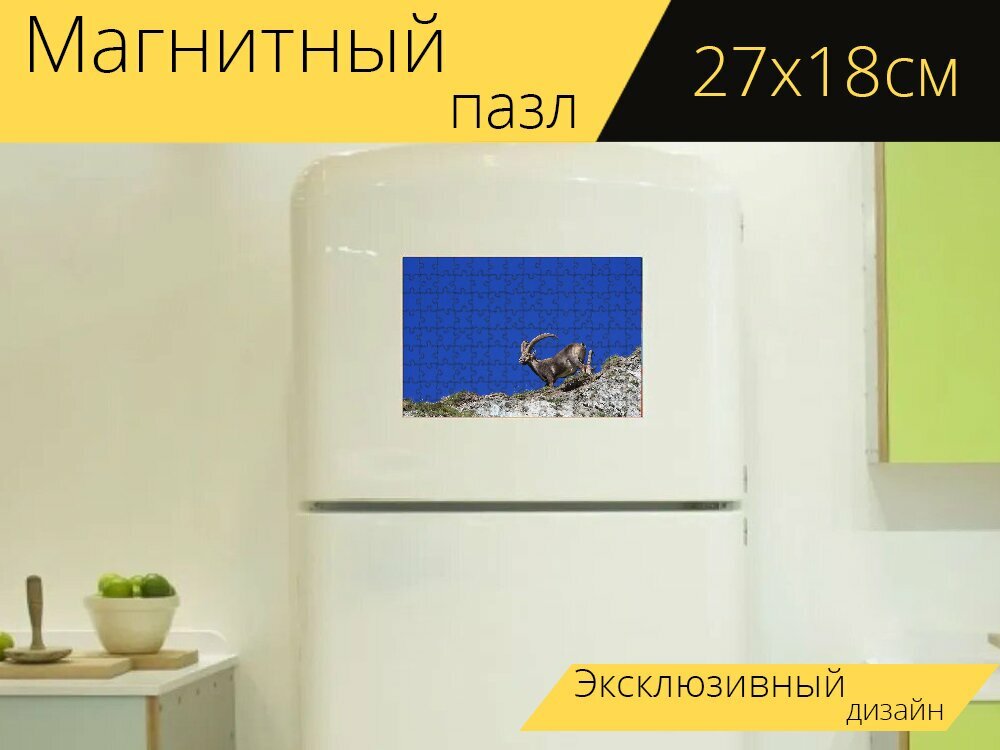 Магнитный пазл "Горный козел, рога, животное" на холодильник 27 x 18 см.