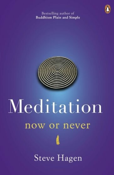 Meditation now or never (Hagen Steve) - фото №1