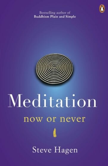 Steve Hagen - Meditation now or never