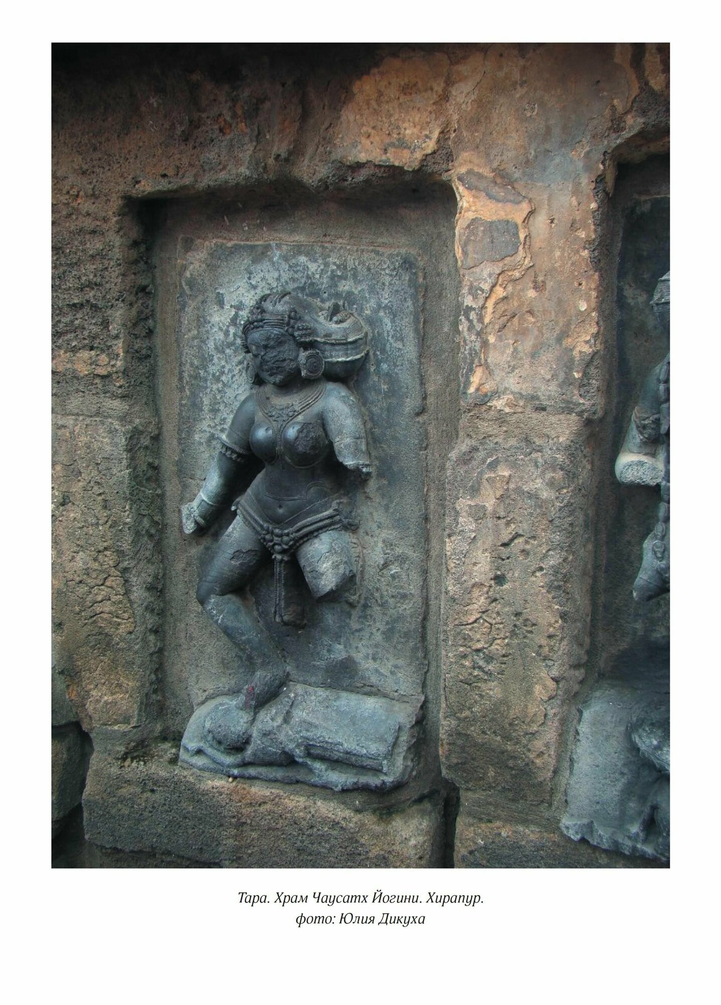 Храмы Йогини в Индии (Дупуис С.) - фото №8