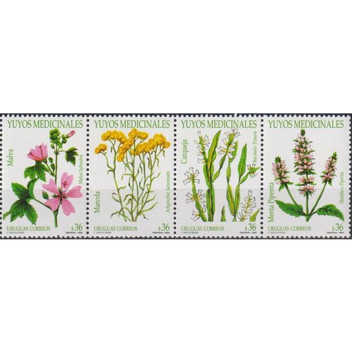 Почтовые марки Уругвай 2004г. Лекарственные растения Цветы, Лекарственные растения MNH марки ссср лекарственные растения 1972 5 штук