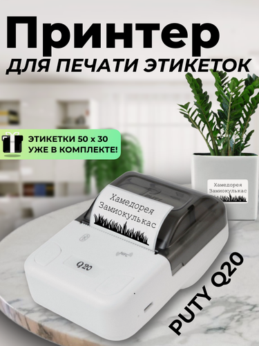 Изображение товара Принтер Puty Q20 для печати этикеток и наклеек, белый {Q20white}