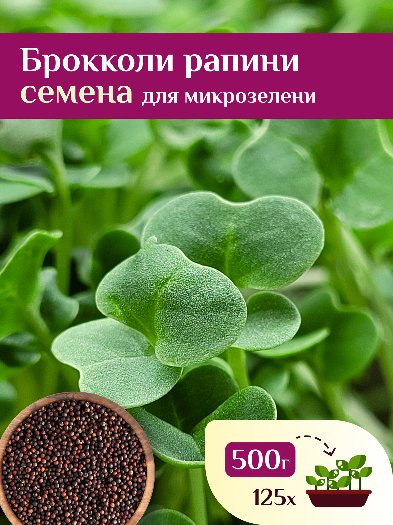 Семена Брокколи Рапини на проростки и микрозелень Ильинские проростки 500г