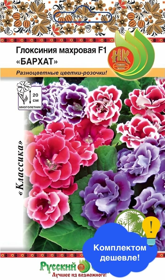 Цветы Глоксиния махровая Бархат