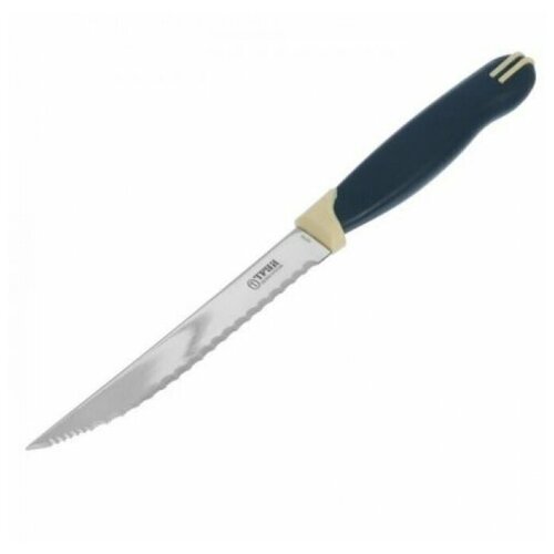 Нож кухонный «Мультиколор», овощной, лезвие 11 см, с пластмассовой ручкой, цвет синий