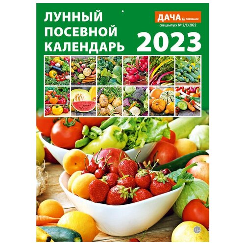 Календарь настенный перекидной на 2023 год (21 см* 29 см). Лунный посевной календарь.