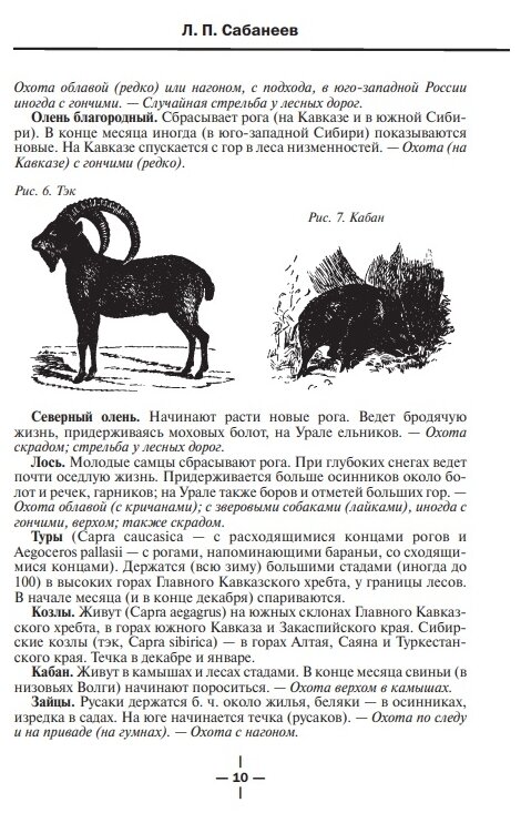 Все об охоте (Сабанеев Леонид Павлович) - фото №14